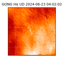 gong - 2024-06-23T04:02:02