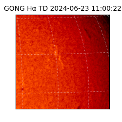 gong - 2024-06-23T11:00:22