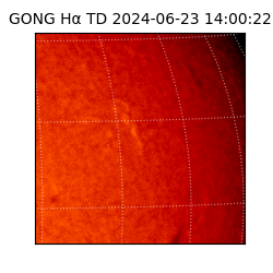 gong - 2024-06-23T14:00:22