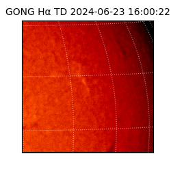 gong - 2024-06-23T16:00:22