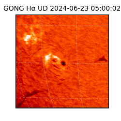 gong - 2024-06-23T05:00:02