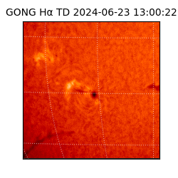 gong - 2024-06-23T13:00:22