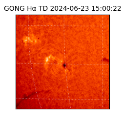 gong - 2024-06-23T15:00:22