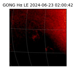 gong - 2024-06-23T02:00:42