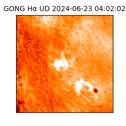 gong - 2024-06-23T04:02:02