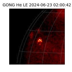 gong - 2024-06-23T02:00:42