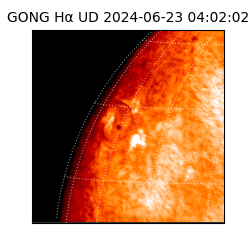 gong - 2024-06-23T04:02:02