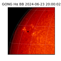 gong - 2024-06-23T20:00:02