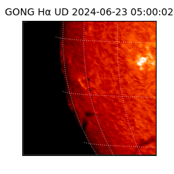 gong - 2024-06-23T05:00:02