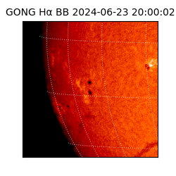gong - 2024-06-23T20:00:02