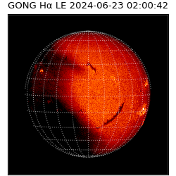 gong - 2024-06-23T02:00:42