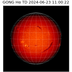 gong - 2024-06-23T11:00:22