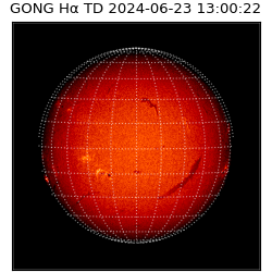 gong - 2024-06-23T13:00:22