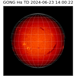 gong - 2024-06-23T14:00:22