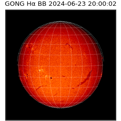 gong - 2024-06-23T20:00:02