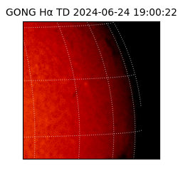 gong - 2024-06-24T19:00:22
