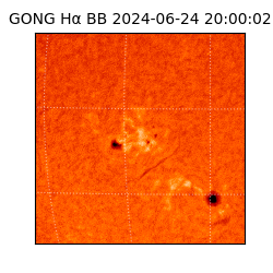 gong - 2024-06-24T20:00:02