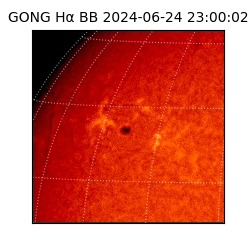 gong - 2024-06-24T23:00:02