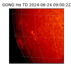 gong - 2024-06-24T09:00:22