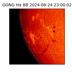 gong - 2024-06-24T23:00:02