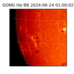 gong - 2024-06-24T01:00:02