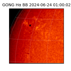 gong - 2024-06-24T01:00:02