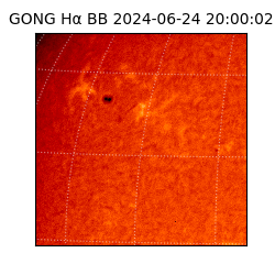 gong - 2024-06-24T20:00:02