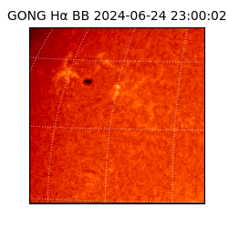 gong - 2024-06-24T23:00:02