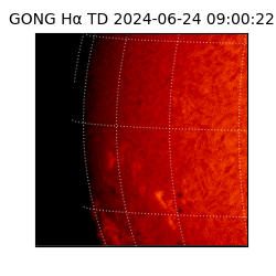 gong - 2024-06-24T09:00:22