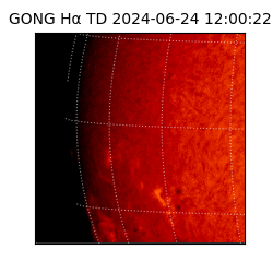 gong - 2024-06-24T12:00:22