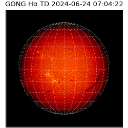gong - 2024-06-24T07:04:22