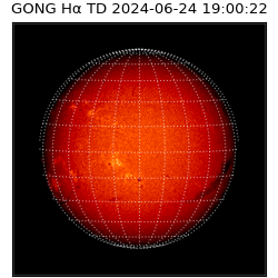 gong - 2024-06-24T19:00:22