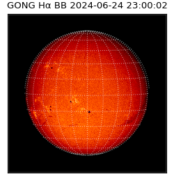gong - 2024-06-24T23:00:02
