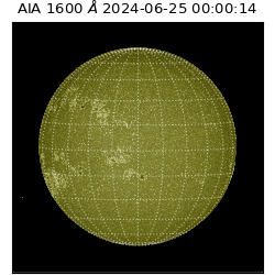 saia - 2024-06-25T00:00:14.137000