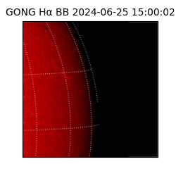 gong - 2024-06-25T15:00:02