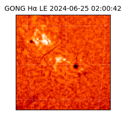 gong - 2024-06-25T02:00:42