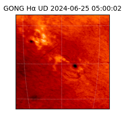 gong - 2024-06-25T05:00:02