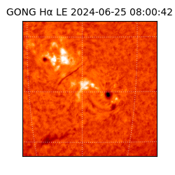 gong - 2024-06-25T08:00:42