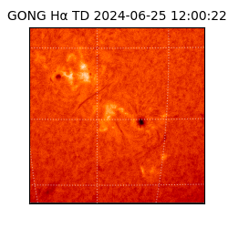 gong - 2024-06-25T12:00:22