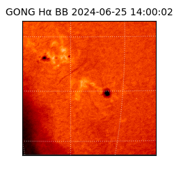 gong - 2024-06-25T14:00:02