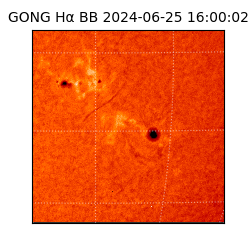 gong - 2024-06-25T16:00:02