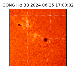 gong - 2024-06-25T17:00:02