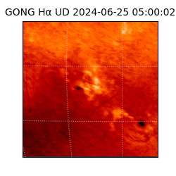 gong - 2024-06-25T05:00:02