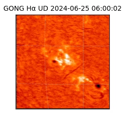 gong - 2024-06-25T06:00:02