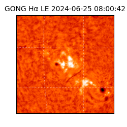 gong - 2024-06-25T08:00:42