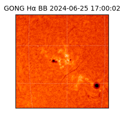 gong - 2024-06-25T17:00:02