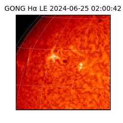 gong - 2024-06-25T02:00:42