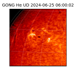 gong - 2024-06-25T06:00:02