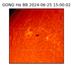 gong - 2024-06-25T15:00:02