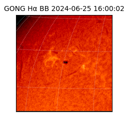 gong - 2024-06-25T16:00:02